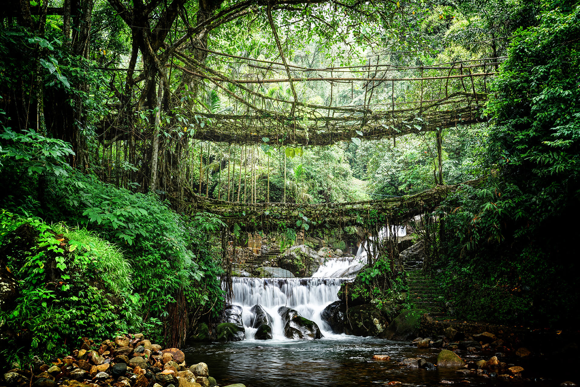 Meghalaya tour package